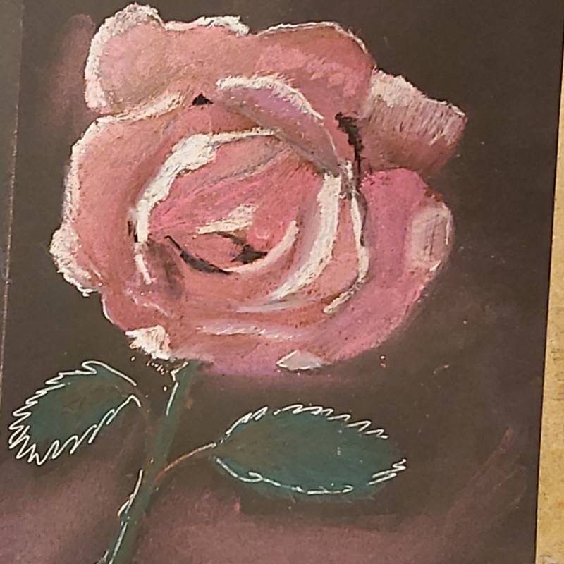 rose by xalitaBAx (Pencil, Watercolor, Colored pencil, Charcoal, Soft pastel, Other)