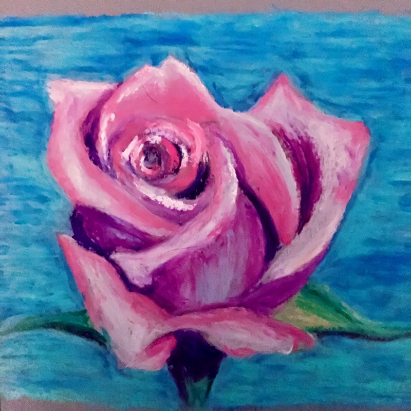 rose by salopia (Oil pastel)
