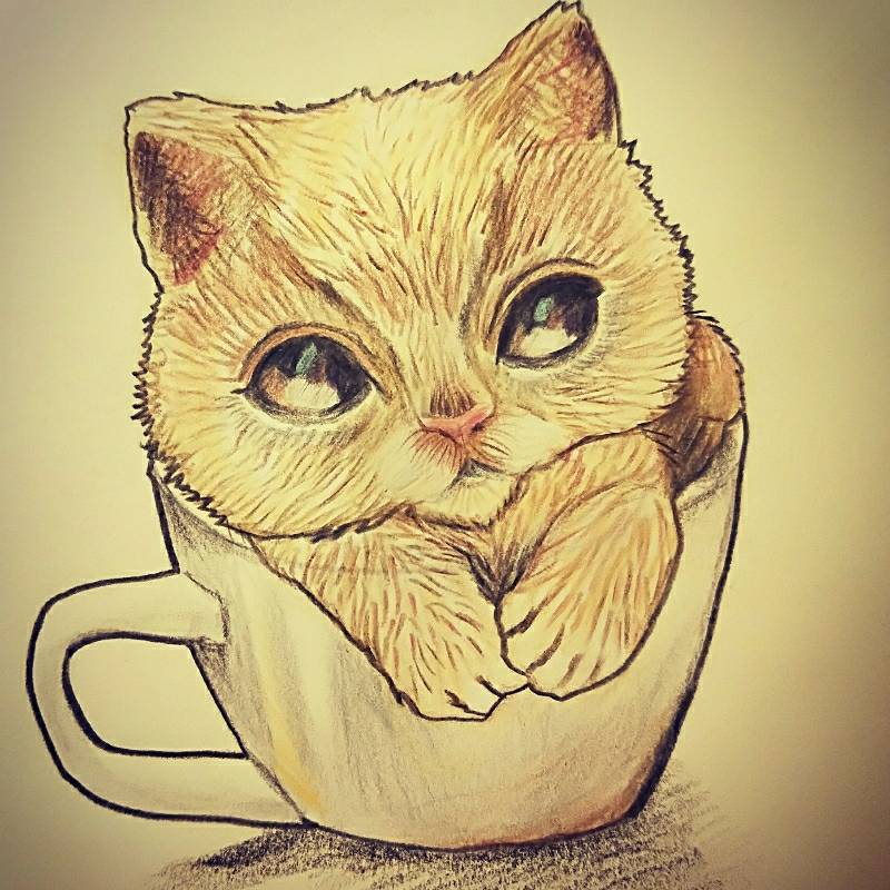 cat by Viromoon (Colored pencil)