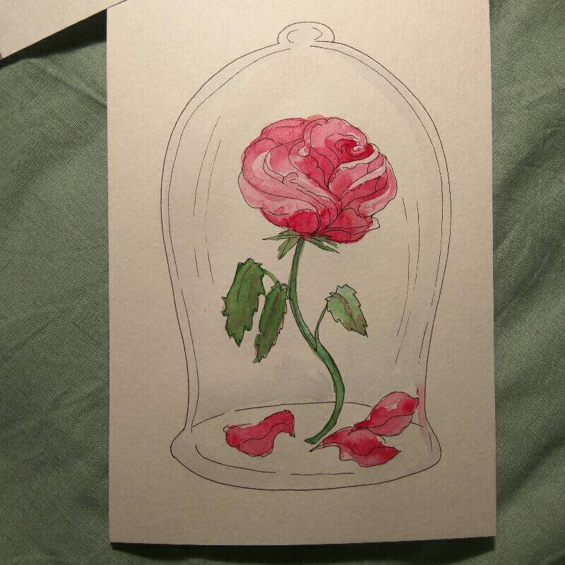 rose by StBear (Watercolor, Pen)
