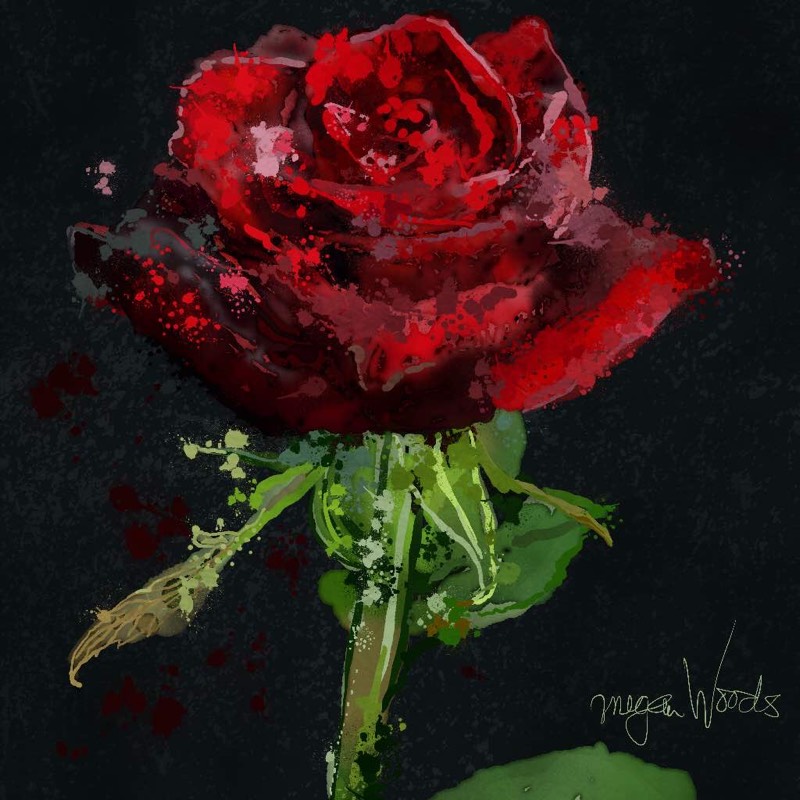 rose by Meg 