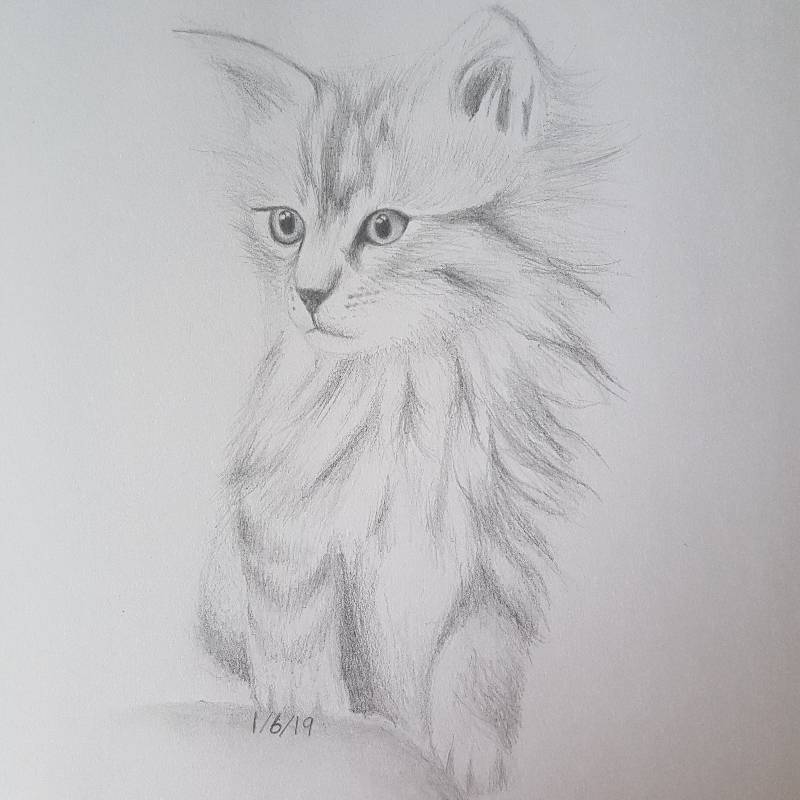 cat by artbyugne (Pencil)