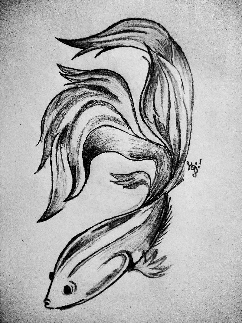 fish by color_your_dreams214 (Ink, Pen, Pencil)