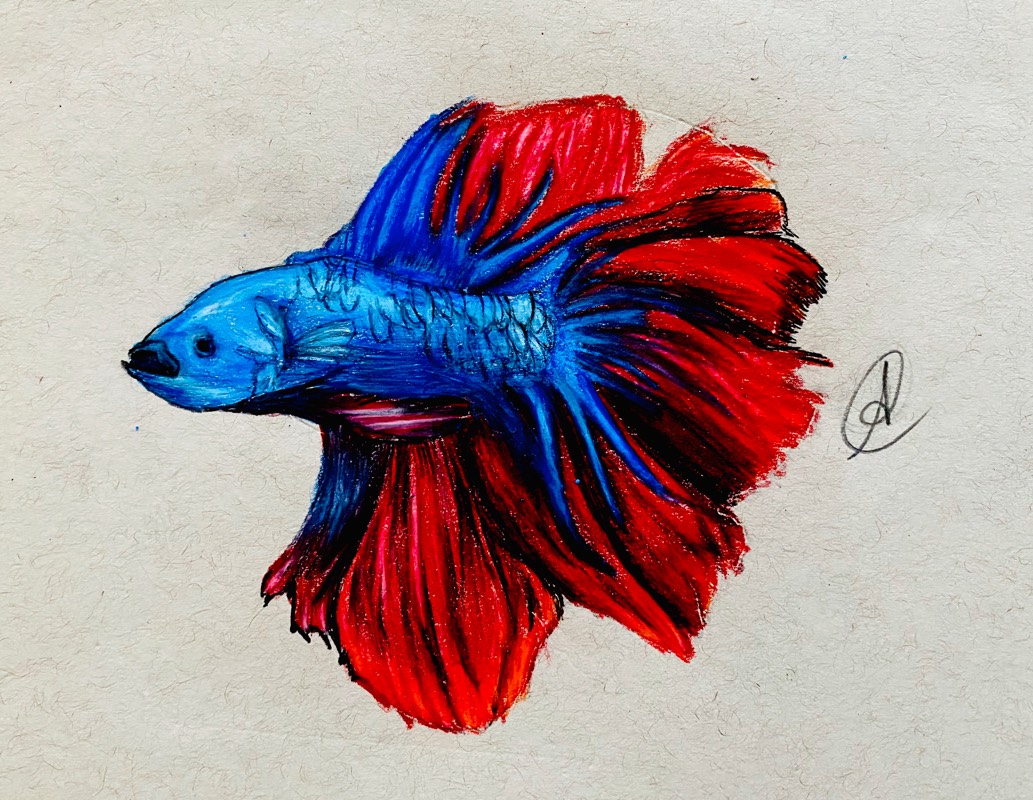 fish by ARTISTIC (Colored pencil, Pen, Pencil)