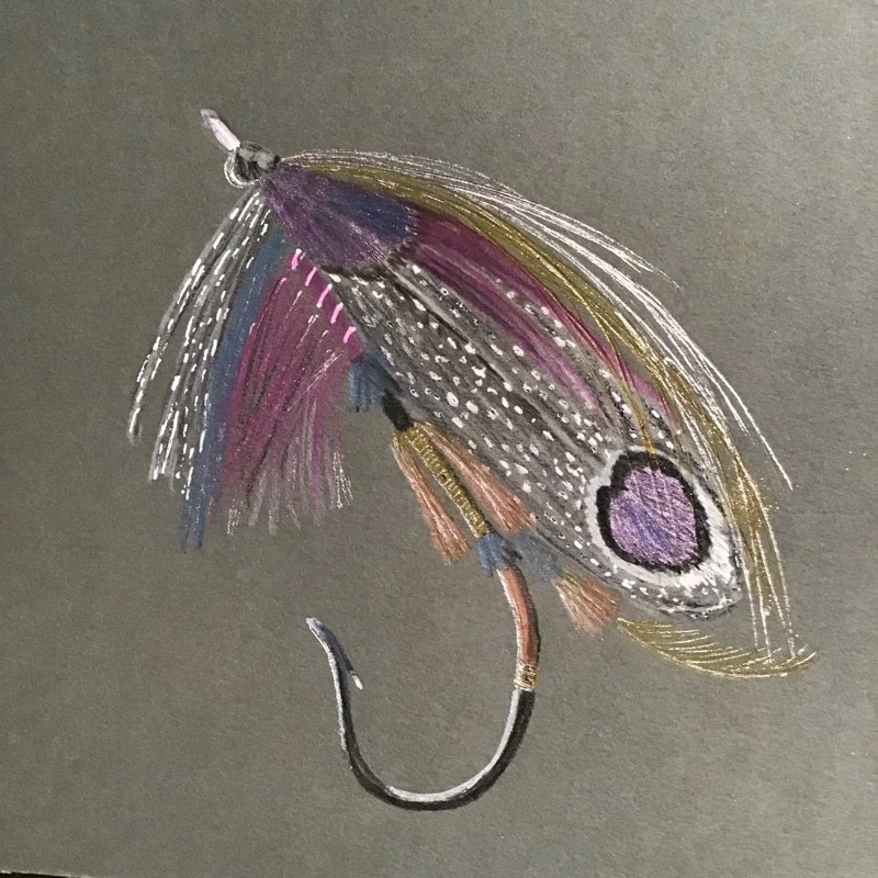 fish by Sally (Colored pencil, Pen)