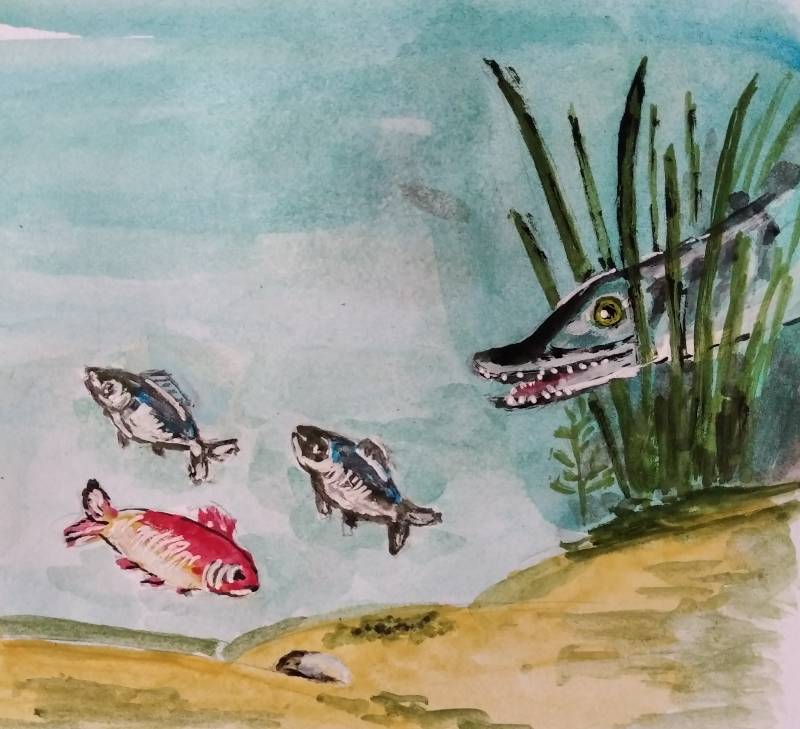 fish by tanko_yo (Watercolor)