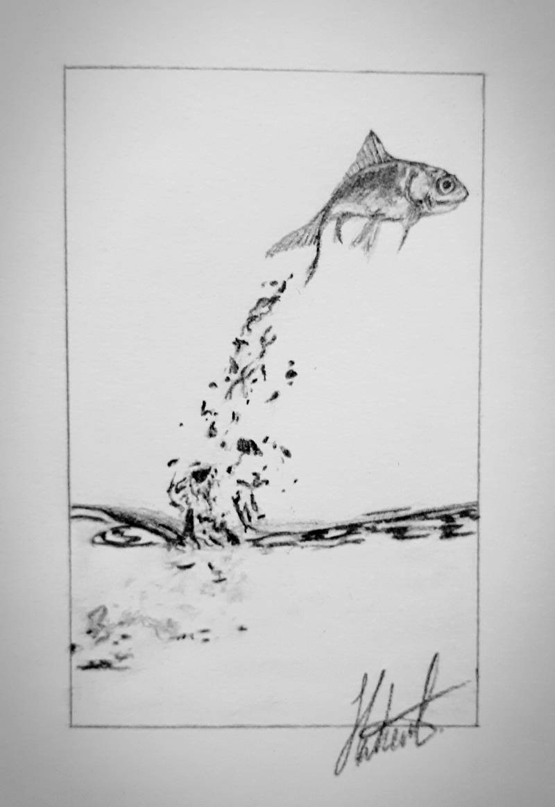 fish by Jesseeker44 (Pencil)