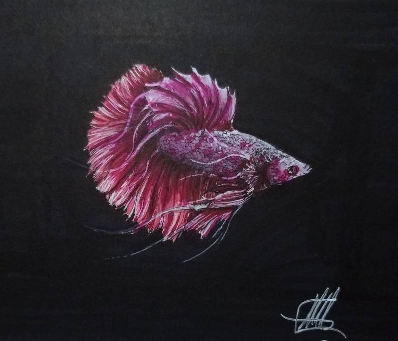 fish by Matt_More_Art (Pen, Ink, Markers)