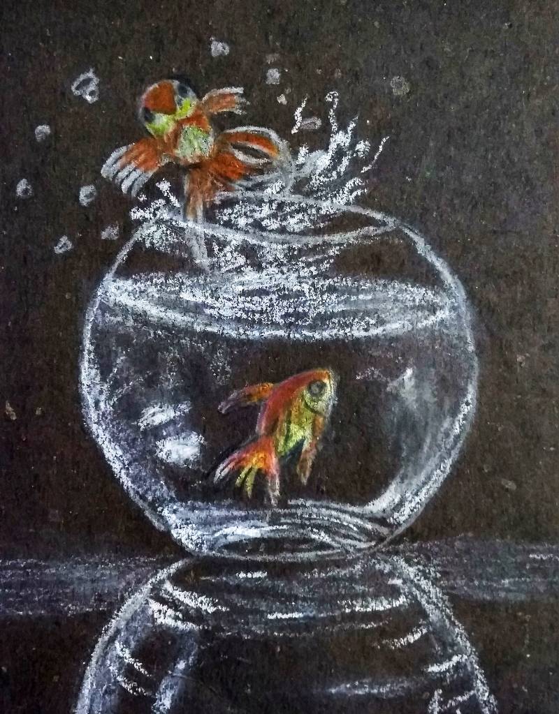 fish by zainabali (Colored pencil, Oil pastel)