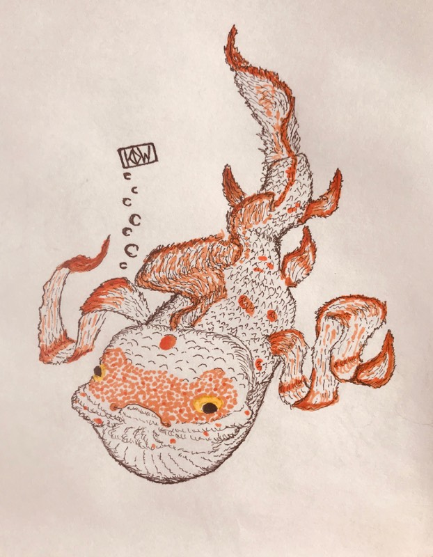 fish by KDW (Ink, Markers)