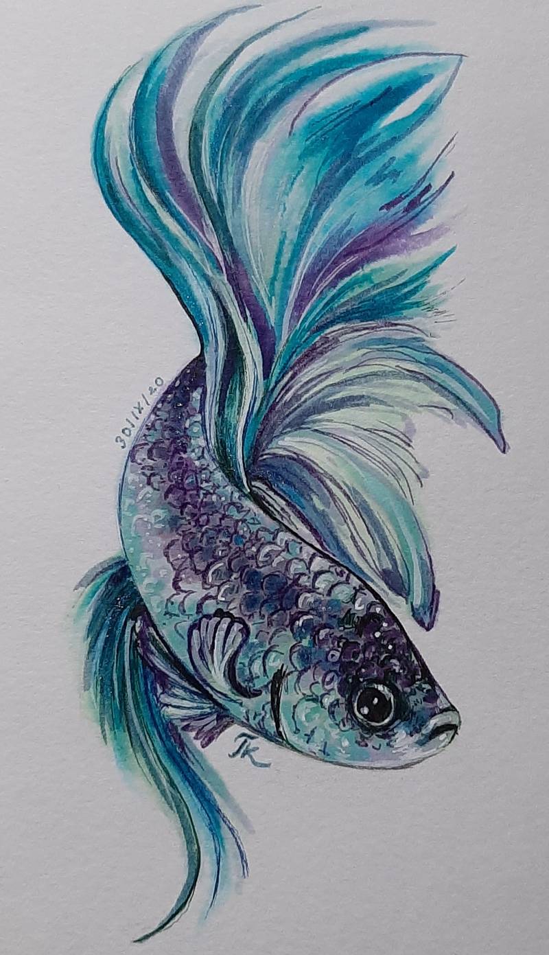 fish by tamileexyz (Pen, Markers)