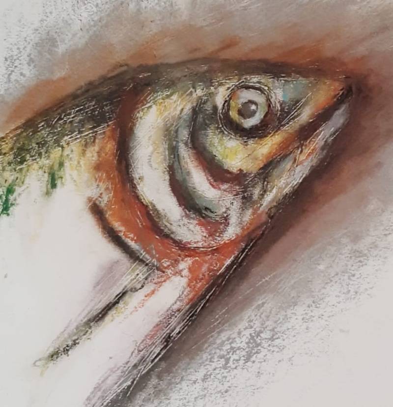 fish by chryssa_art (Pencil, Pen, Oil pastel)