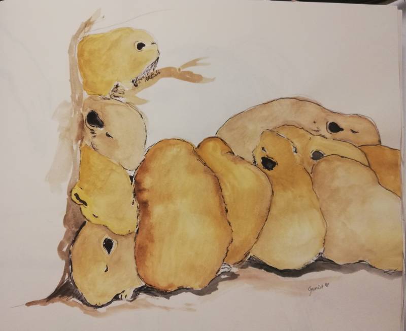 rodent by Alina83 (Ink, Watercolor)
