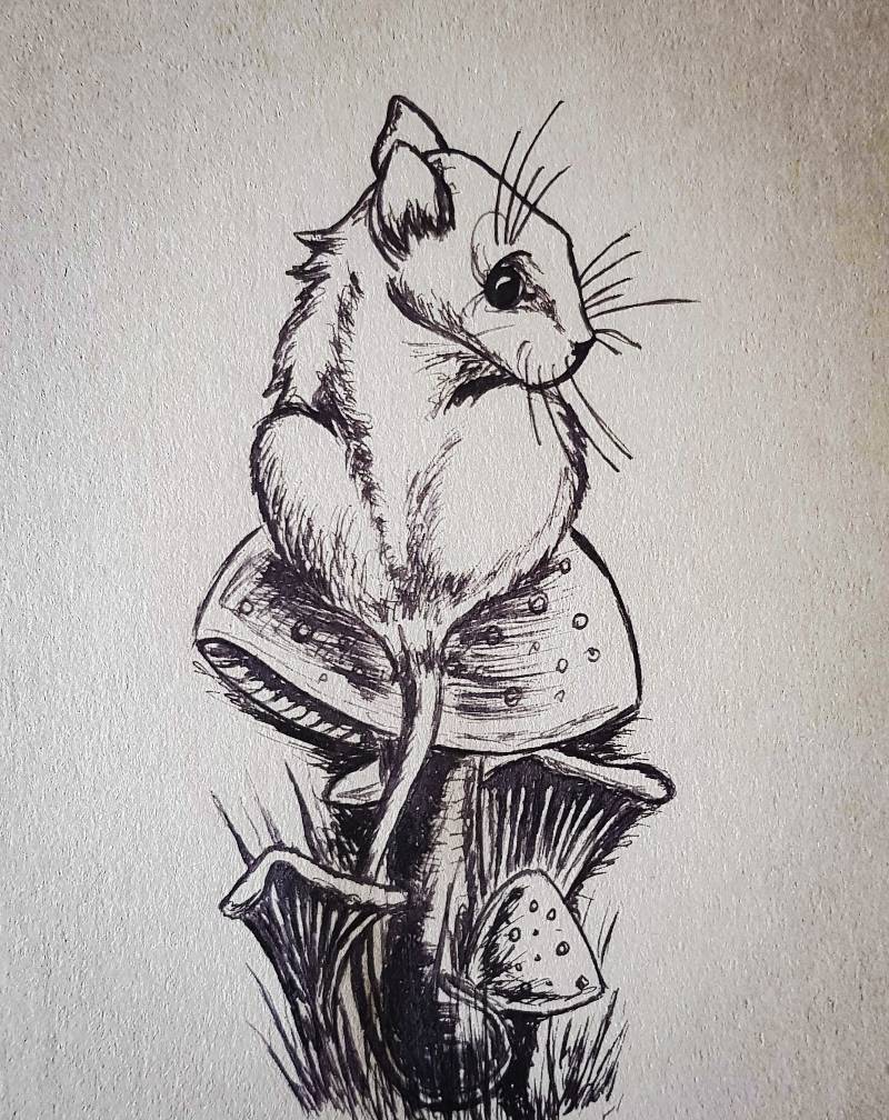 rodent by olcia_maciejewska (Ink)