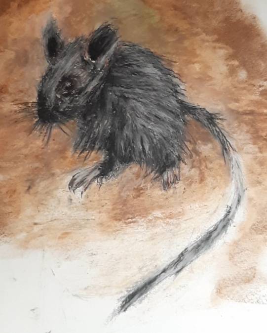 rodent by chryssa_art (Pencil, Oil pastel, Pen)