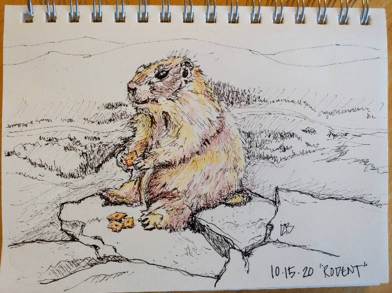 rodent by xoflodacious (Pen, Colored pencil)
