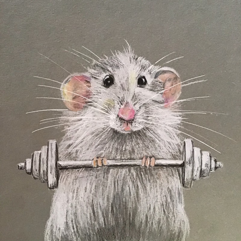 rodent by Sally (Colored pencil, Pen)