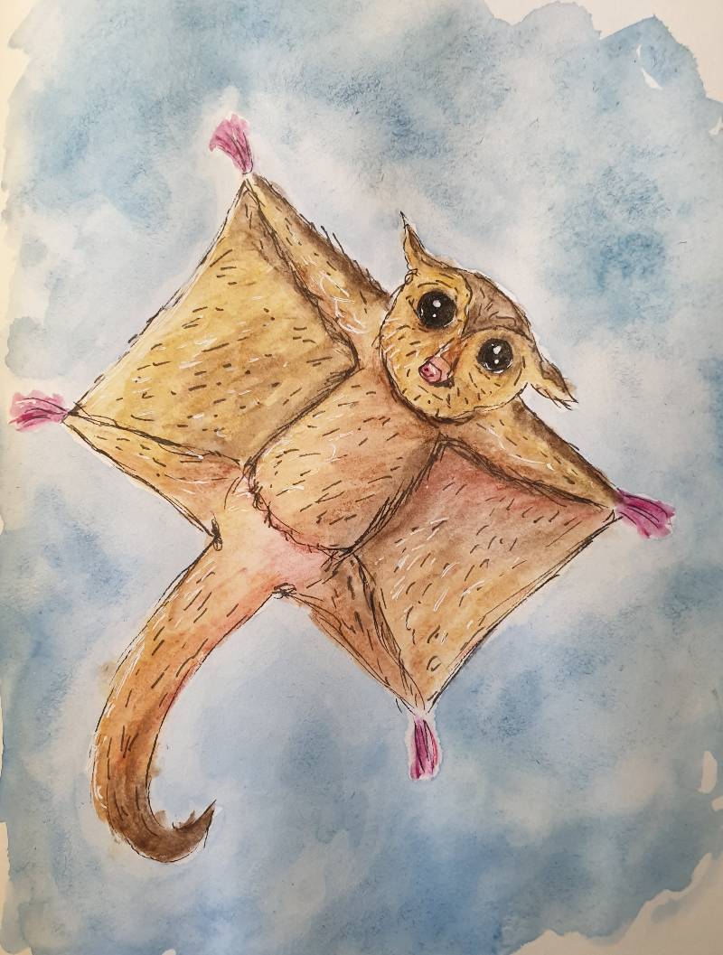 rodent by little (Watercolor, Pen)