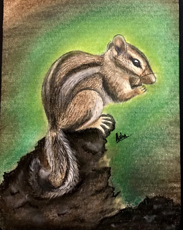rodent by ashav74 (Colored pencil, Soft pastel, Charcoal)