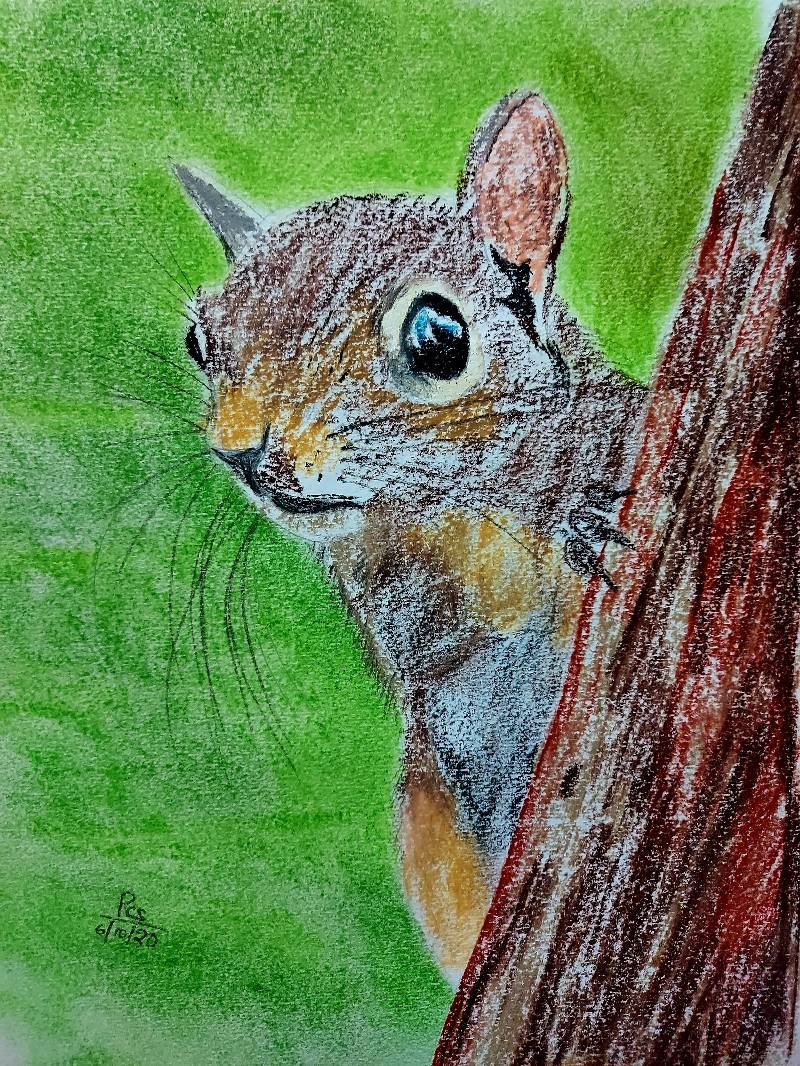 rodent by pcsekhar (Soft pastel)