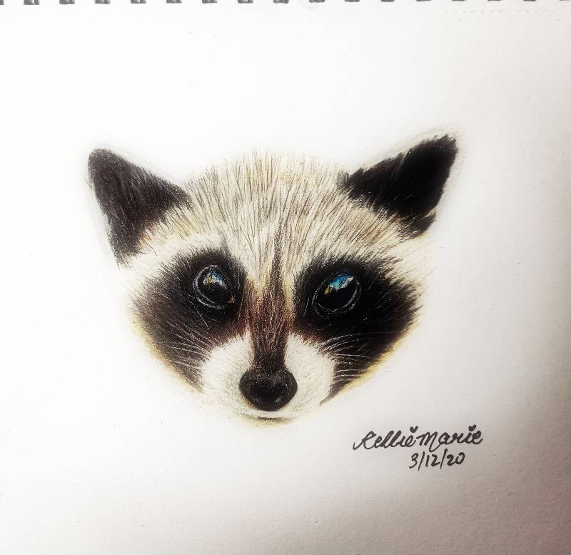 cub by MissKelliex (Colored pencil)