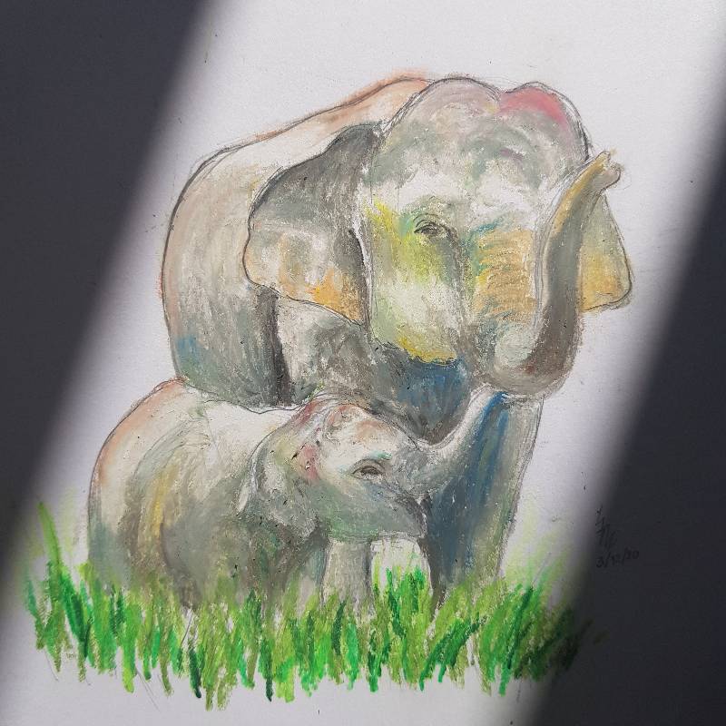 cub by GloriGrowl (Oil pastel, Pencil)