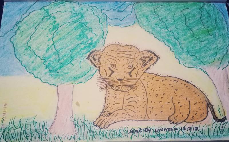 cub by unazza121212 (Markers, Oil pastel)