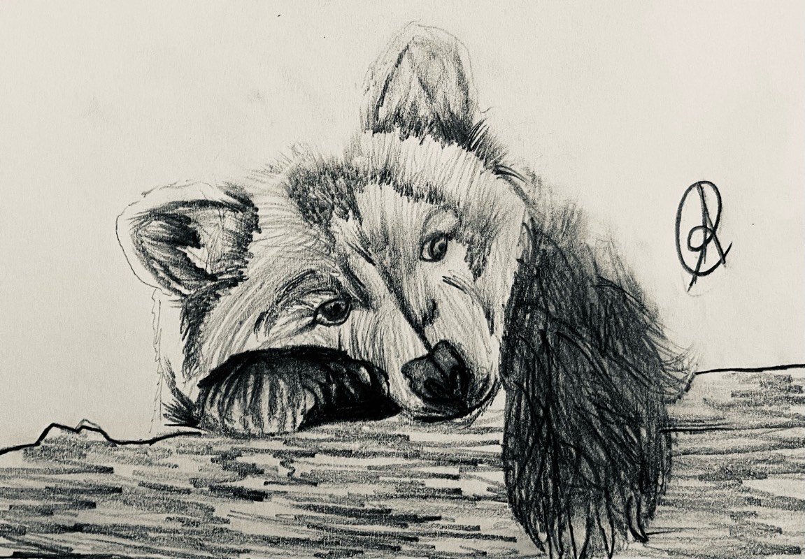 cub by ARTISTIC (Pencil)