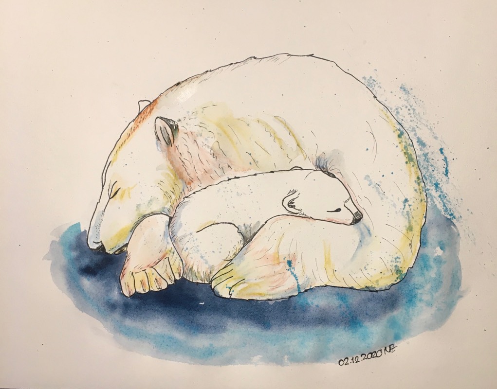 cub by Nick_49 (Watercolor, Pen)