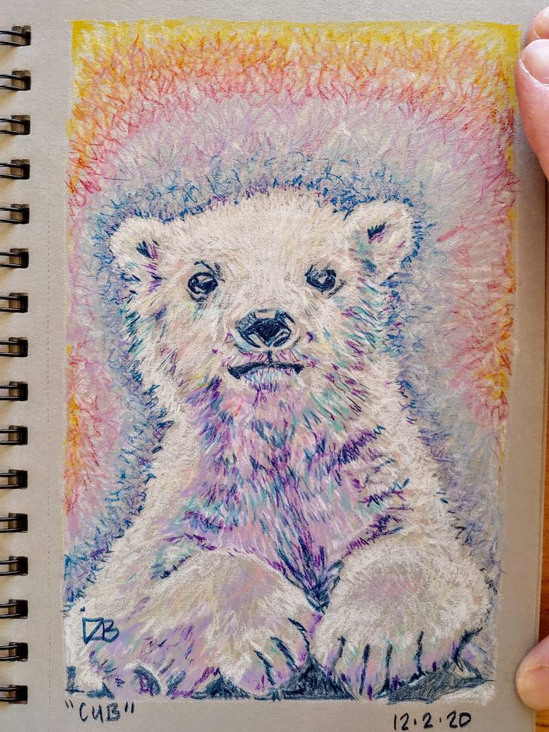 cub by xoflodacious (Colored pencil)