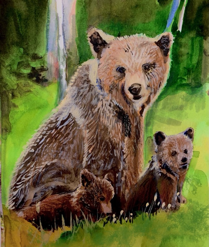 cub by pgpappy (Watercolor, Other)