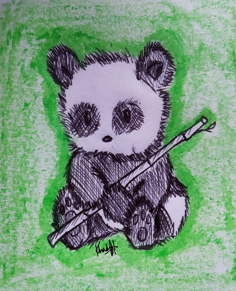 panda by khadijali (Pen, Oil pastel)