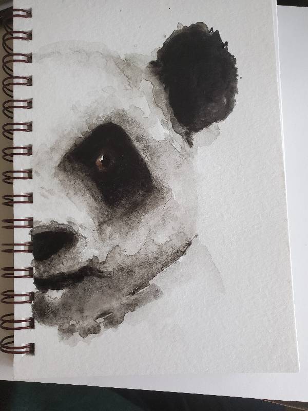 panda by Aliciawattrn (Watercolor)