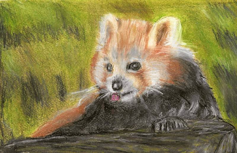 panda by RobynLee3 (Soft pastel)