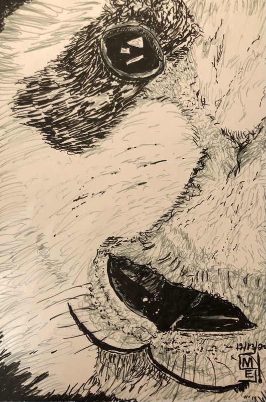 panda by BigMES (Ink, Pen)