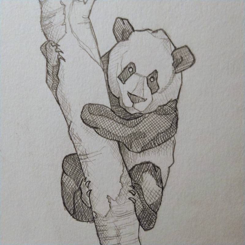 panda by Johnny_ (Pencil)