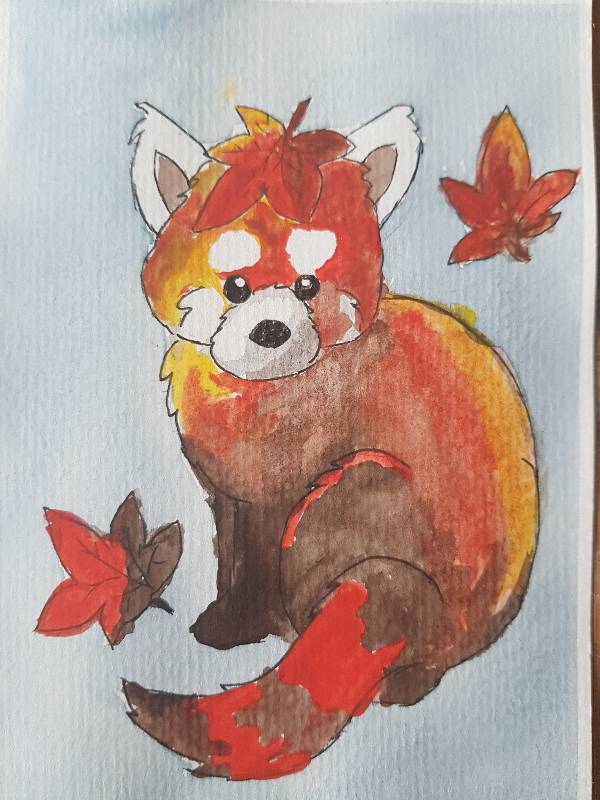 panda by Anke (Watercolor, Pen)