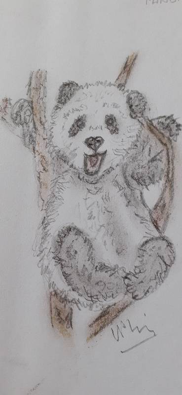 panda by Brockrose01 (Pencil, Soft pastel)