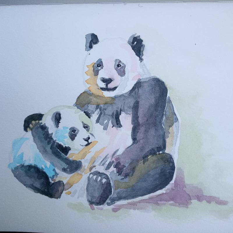 panda by Suzanne_makes_art (Watercolor)