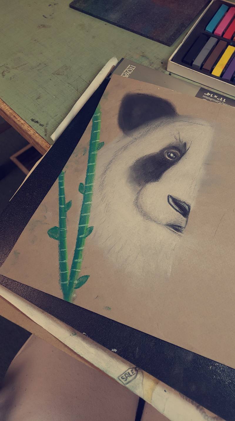 panda by kitkat10051 (Soft pastel, Charcoal, Pencil)