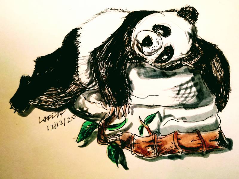 panda by BlueStone (Pen, Markers)