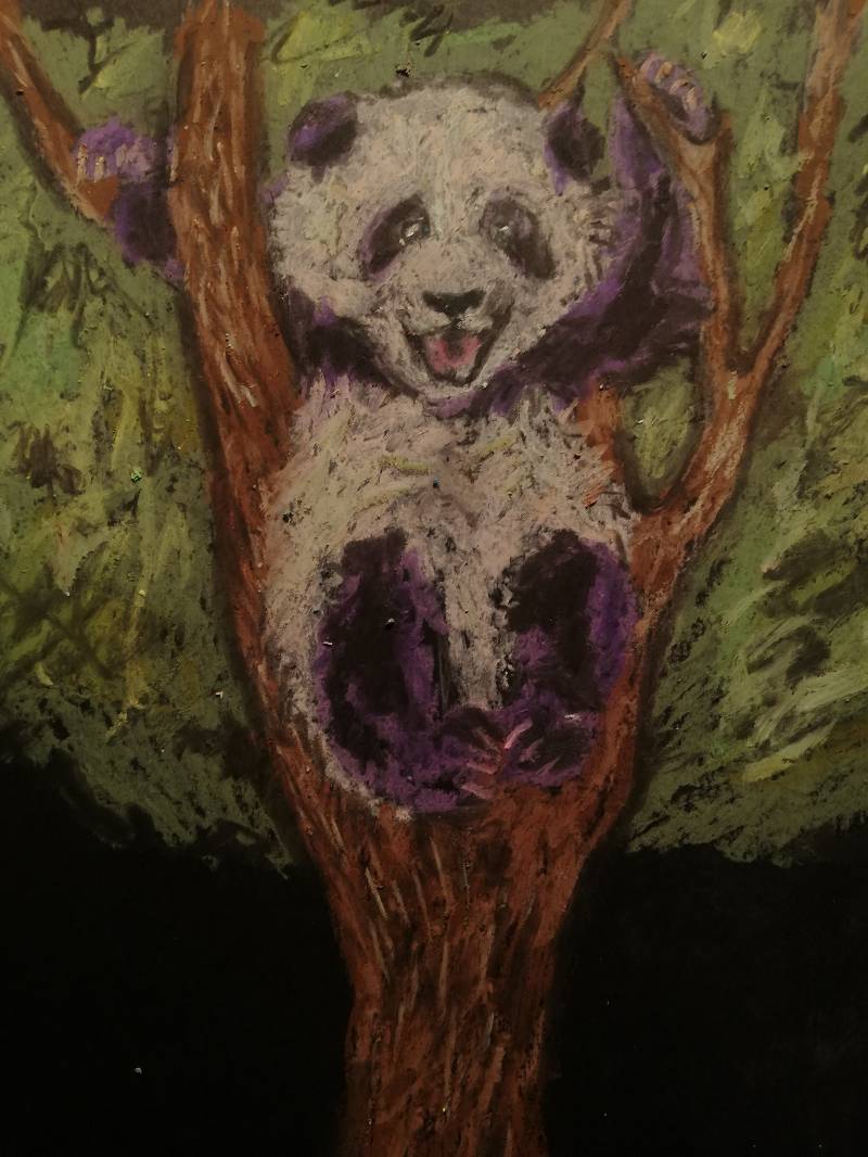 panda by Fekla_Ogurcova (Oil pastel)