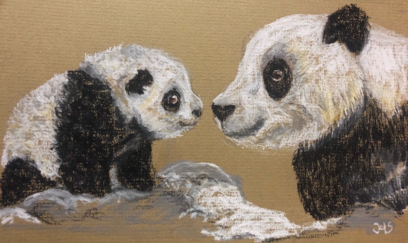 panda by nien (Soft pastel)