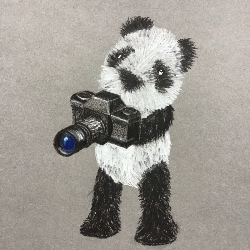 panda by Sally (Colored pencil)