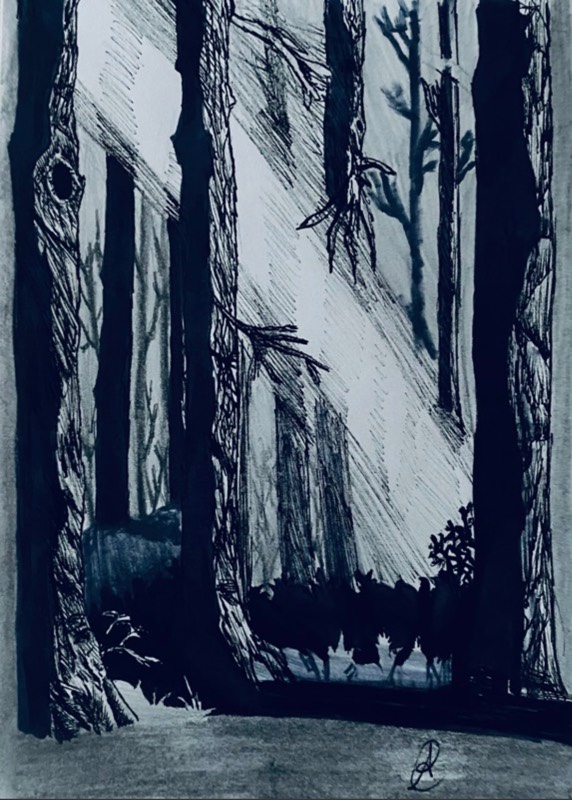 woods by ARTISTIC (Pen, Ink, Pencil)