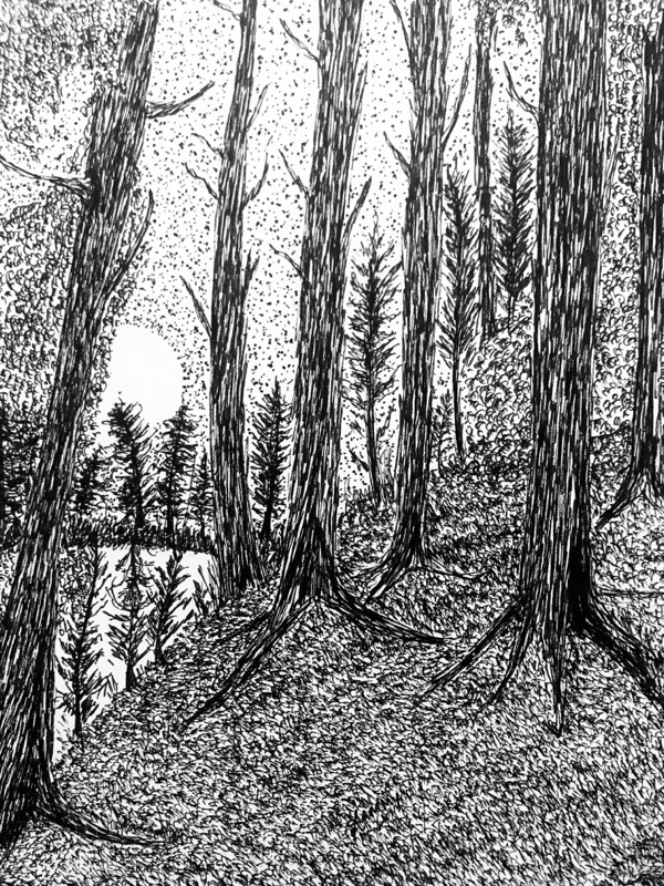 woods by RammyArtworks (Pen, Ink)