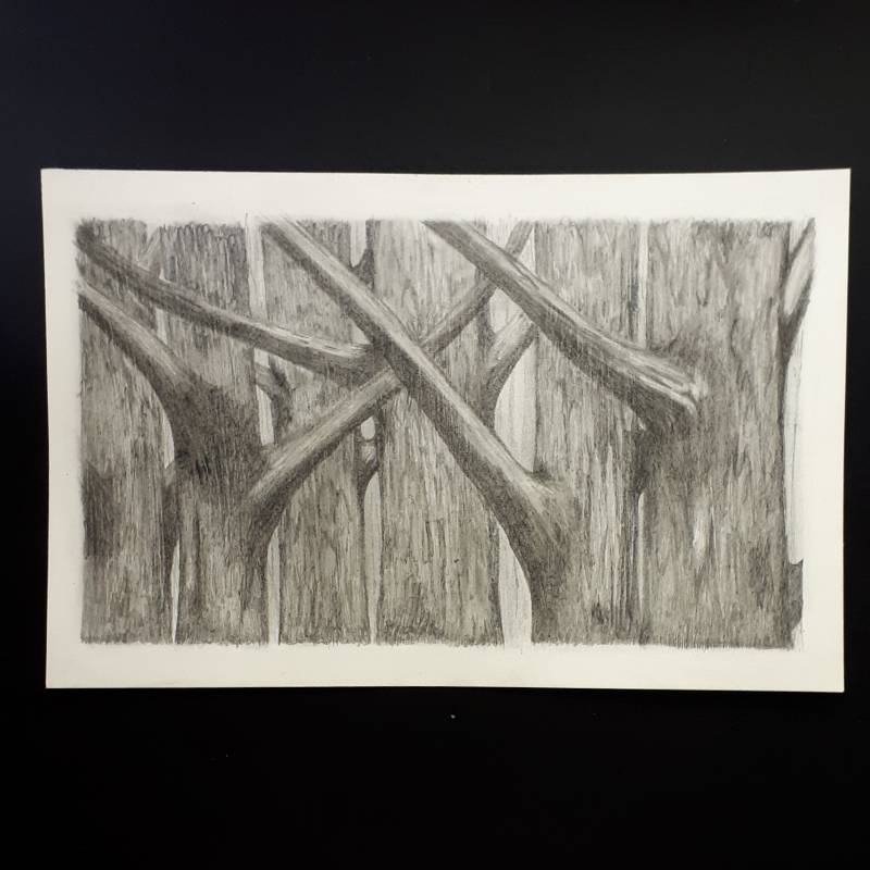 woods by Mazhi64 (Pencil)