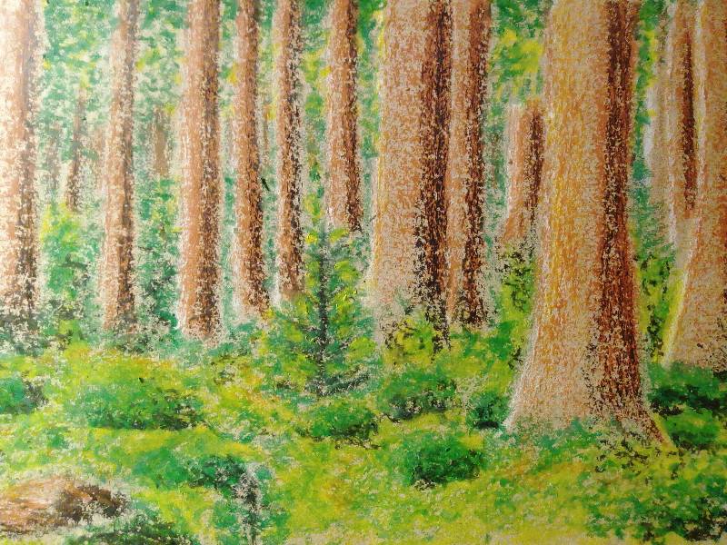 woods by Hesseh (Oil pastel)