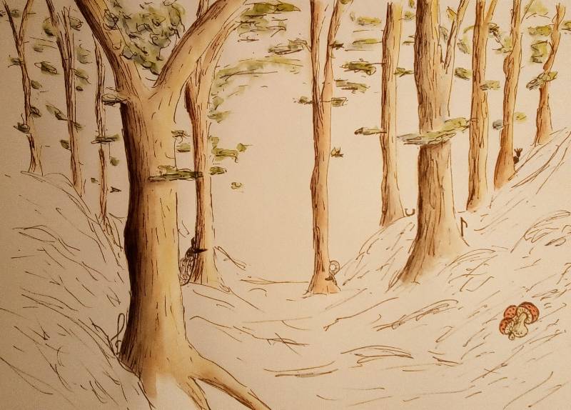 woods by Wiliane (Watercolor, Ink)