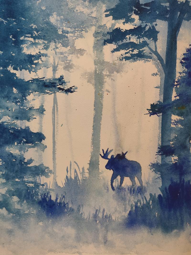 woods by Barbara_Greve (Watercolor)